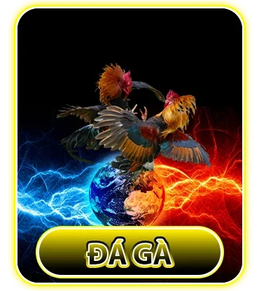 icon đá gà